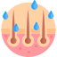 Excess Scalp Oil (Sebum)