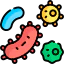 Bacterial Growth
